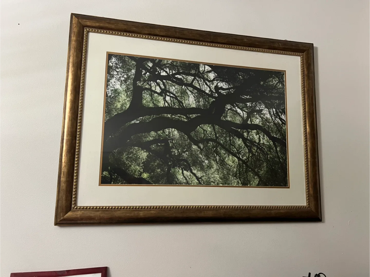 Painting Frames Canvas Home Decoration Wall image indicator(5)