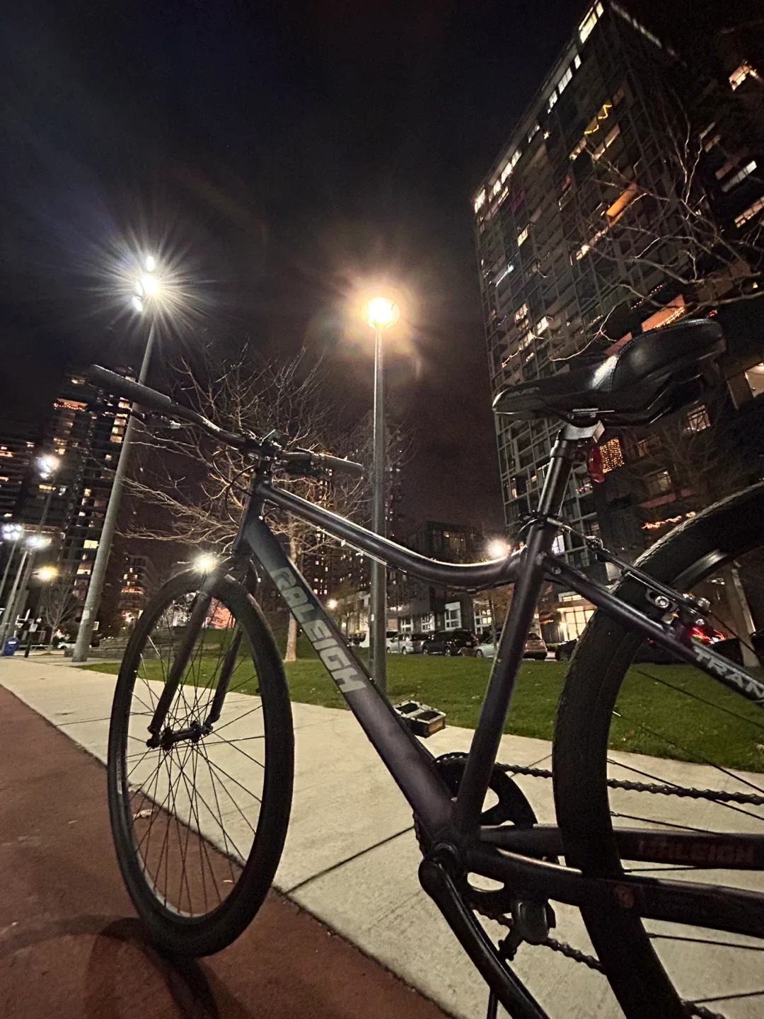 Raleigh Entourage Hybrid Bike - Great Condition