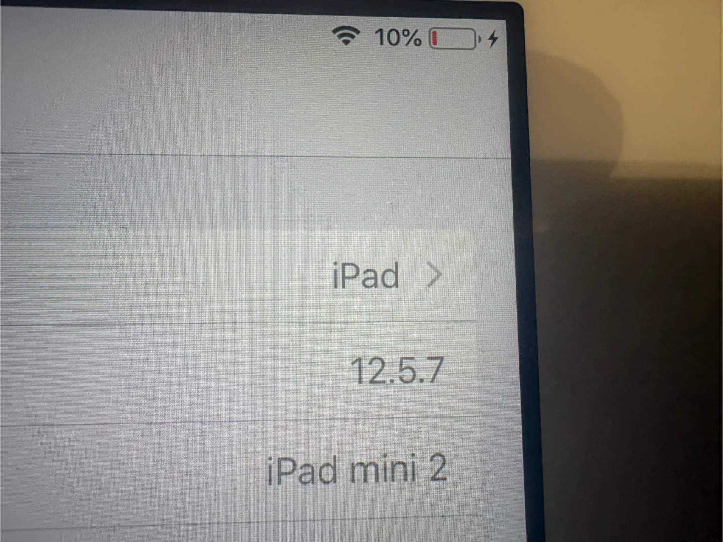 iPad mini 2