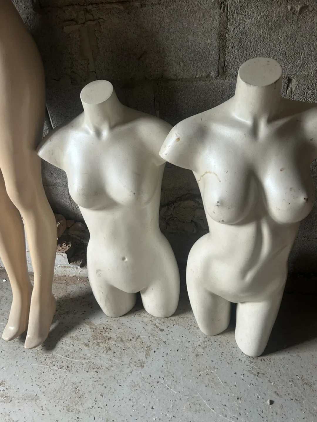 Mannequin Torso Forms image indicator(3)