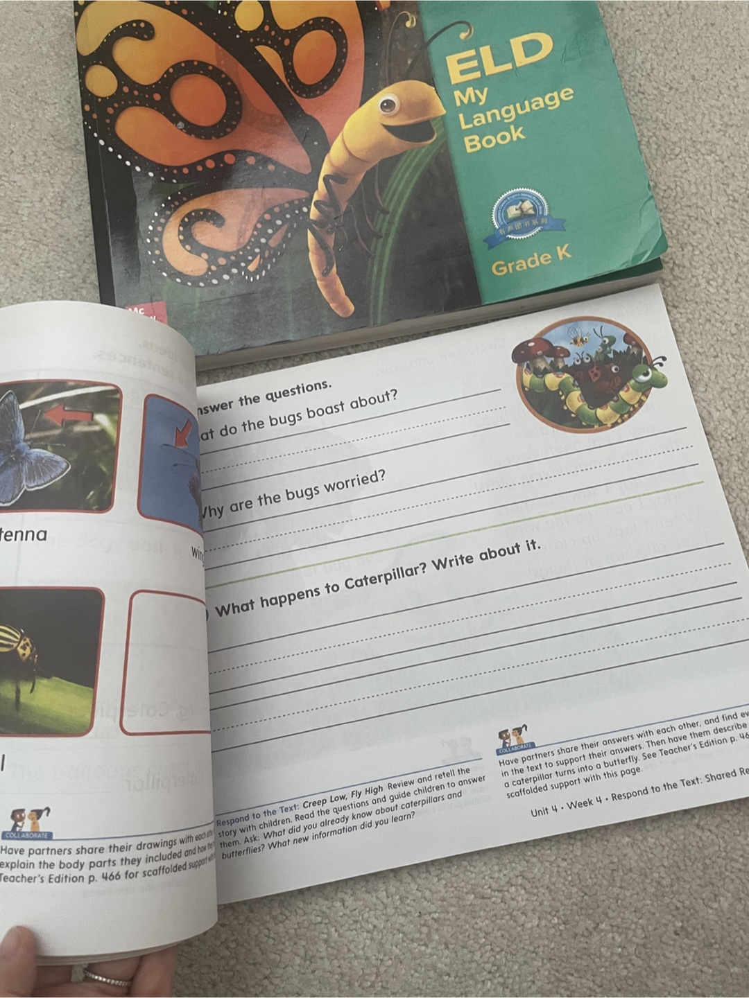 Wonders ELD My Language Book Grade K & 1 - photo 4