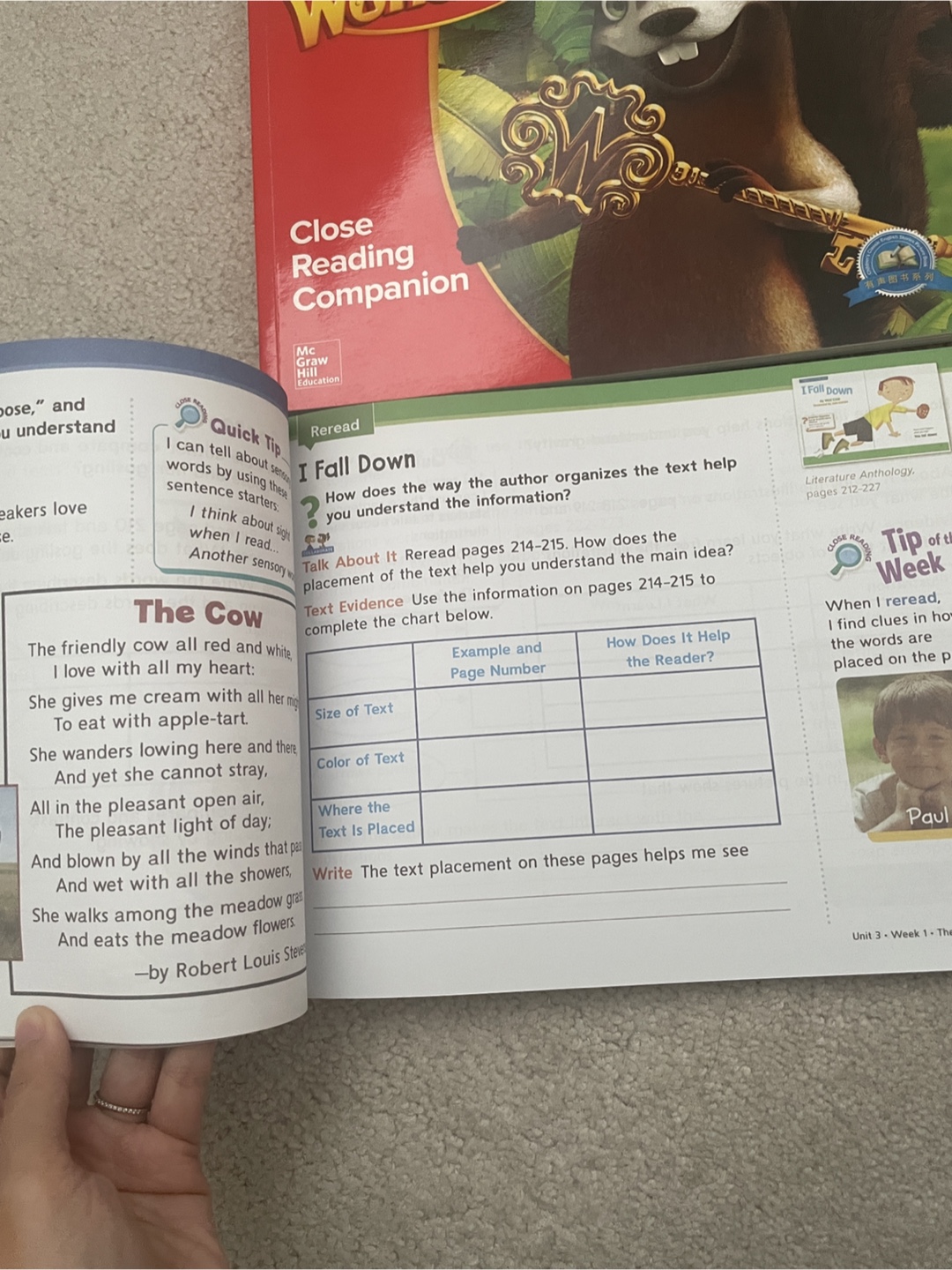Wonders Close Reading Companion - photo 2