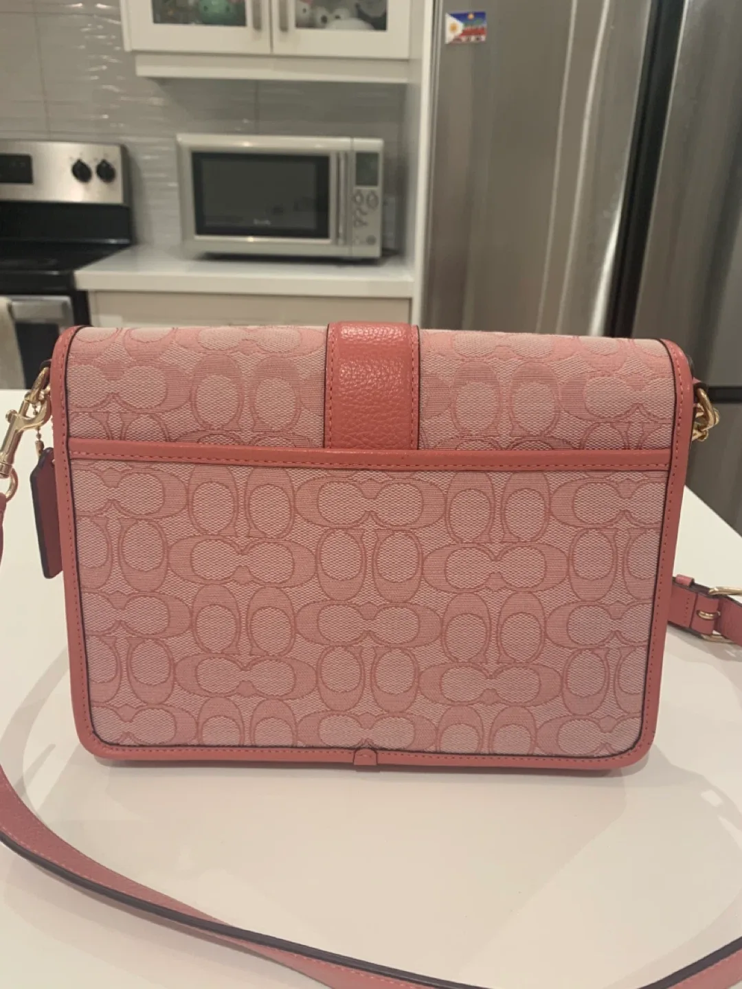 🩷Coach Pink Leather Signature Lonie Shoulder Bag 🎀 image indicator(7)