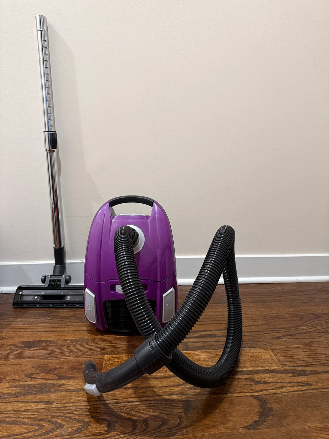 Bissell Zing Vacuum Cleaner (MOVE OUT SALE)