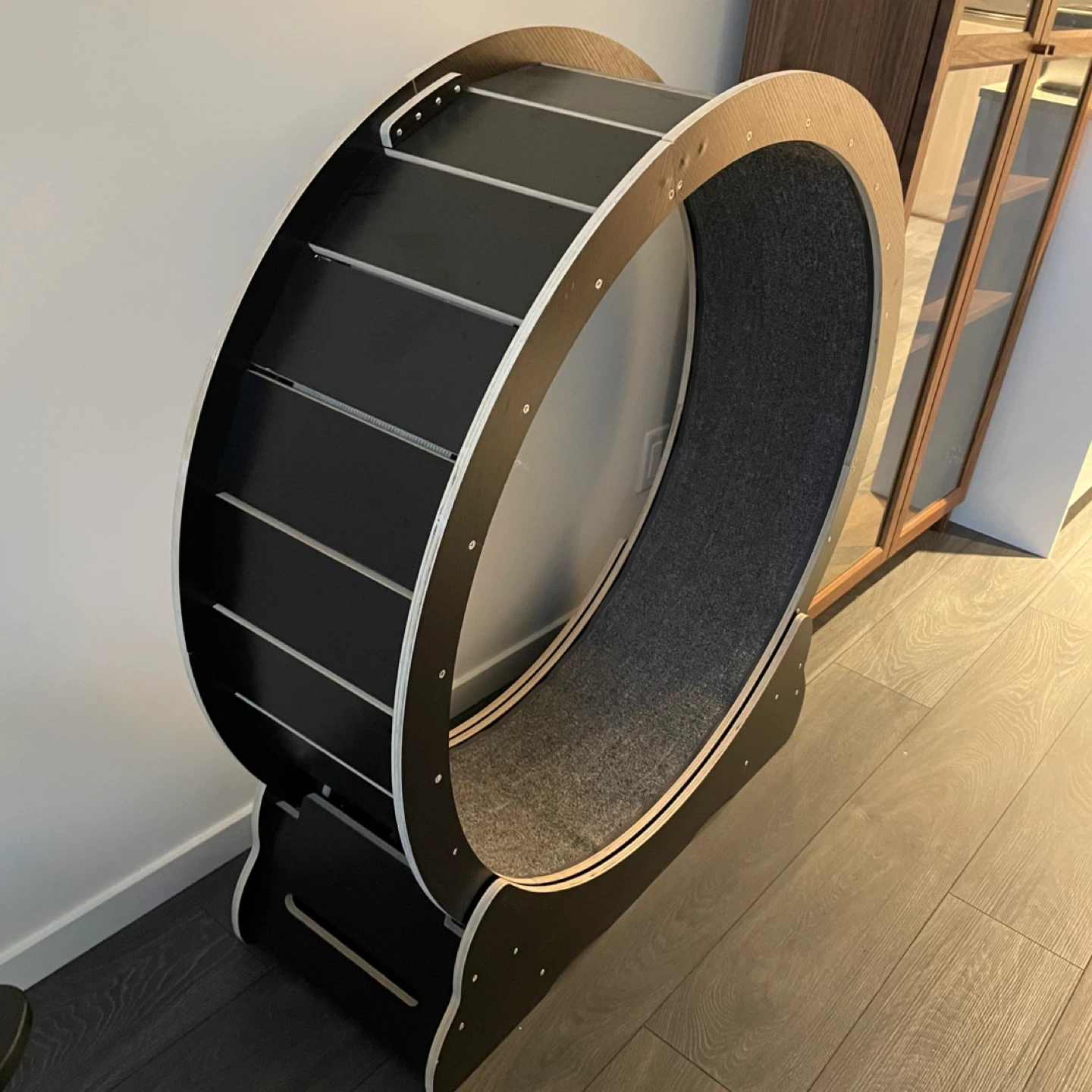 Cat running wheel - photo 2