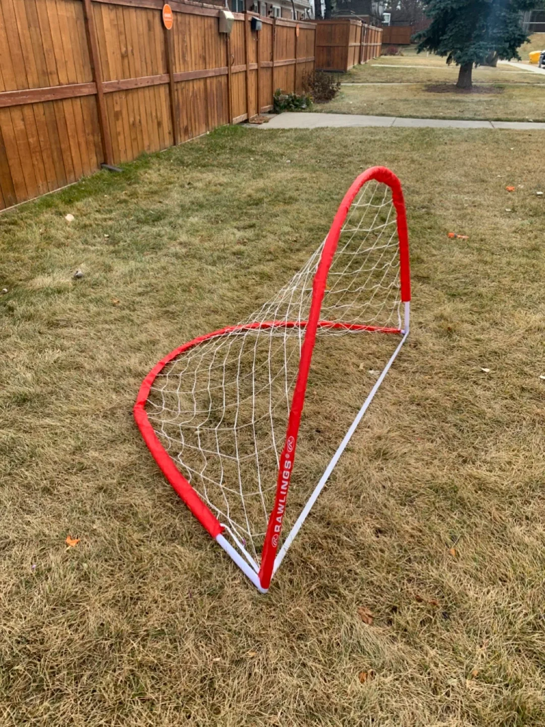 Rawlings Portable Soccer Goal - mini net / sports kids toys image indicator(2)