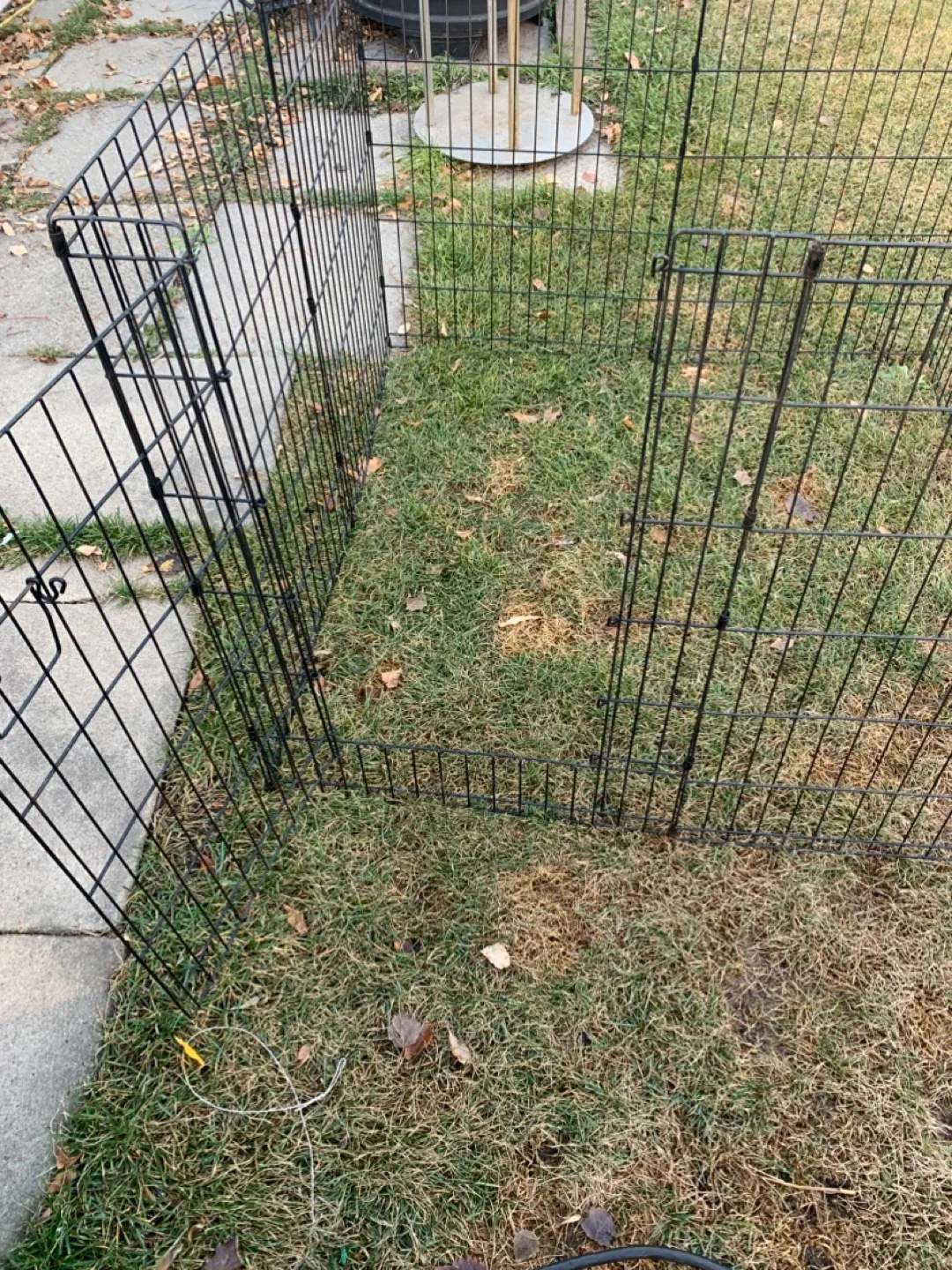 Black Metal Pet Playpen - 4' x 4' x 3' image indicator(3)