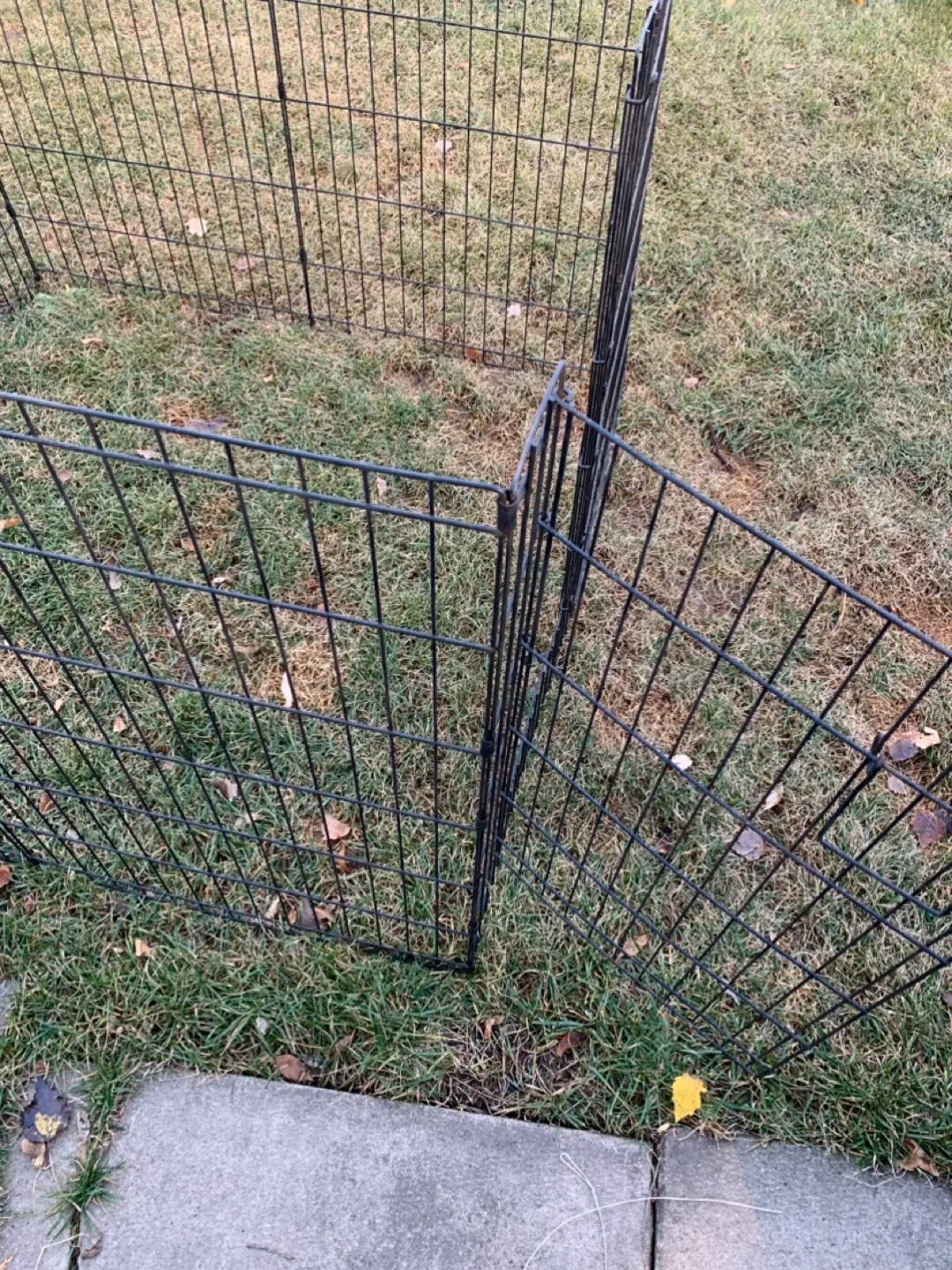 Black Metal Pet Playpen - 4' x 4' x 3' image indicator(5)