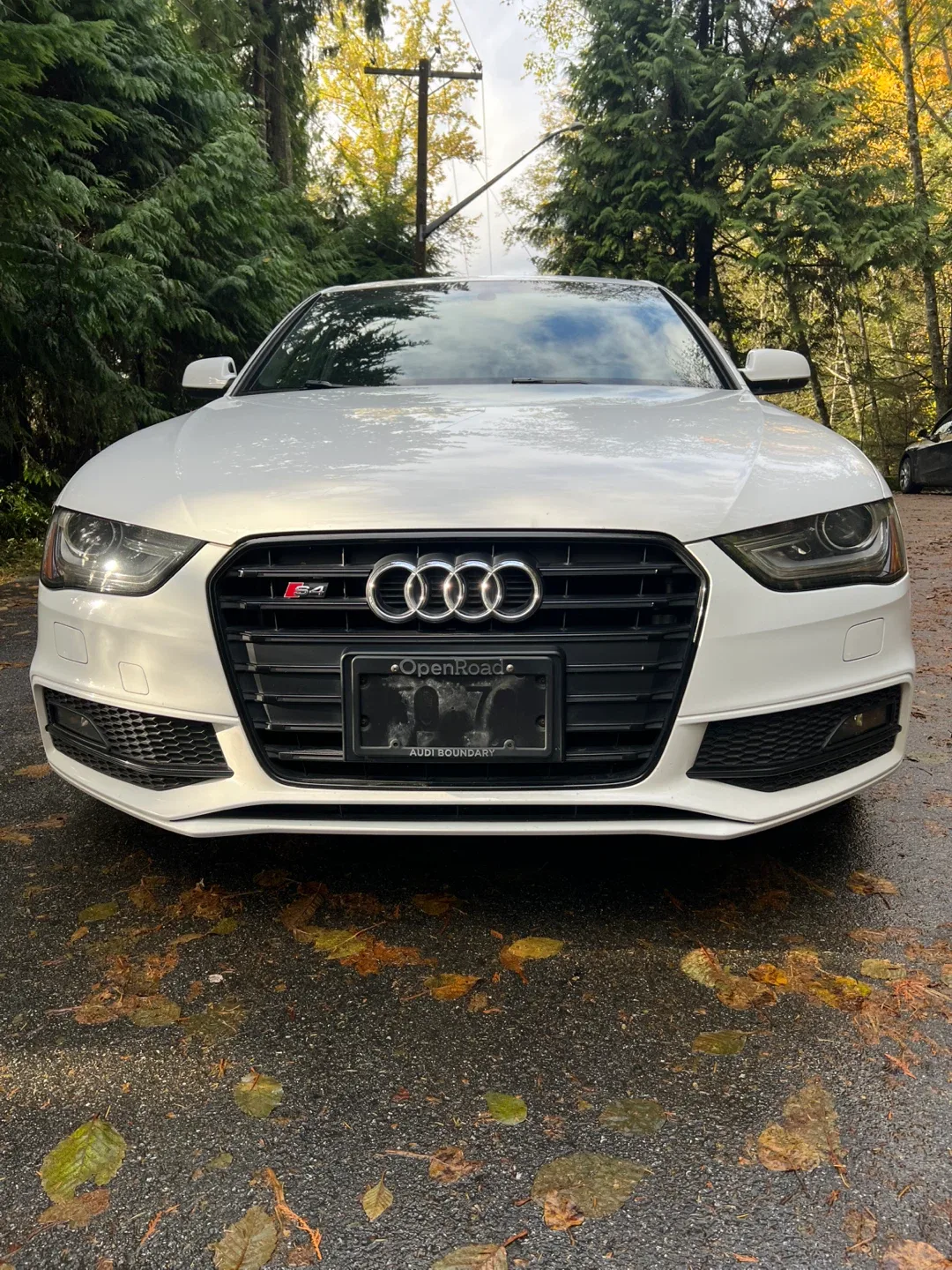 2014 White Audi S4 Sedan image indicator(8)