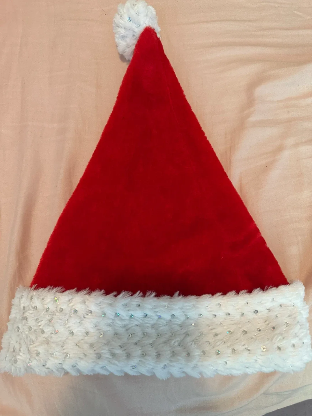 Red & White Santa Hat