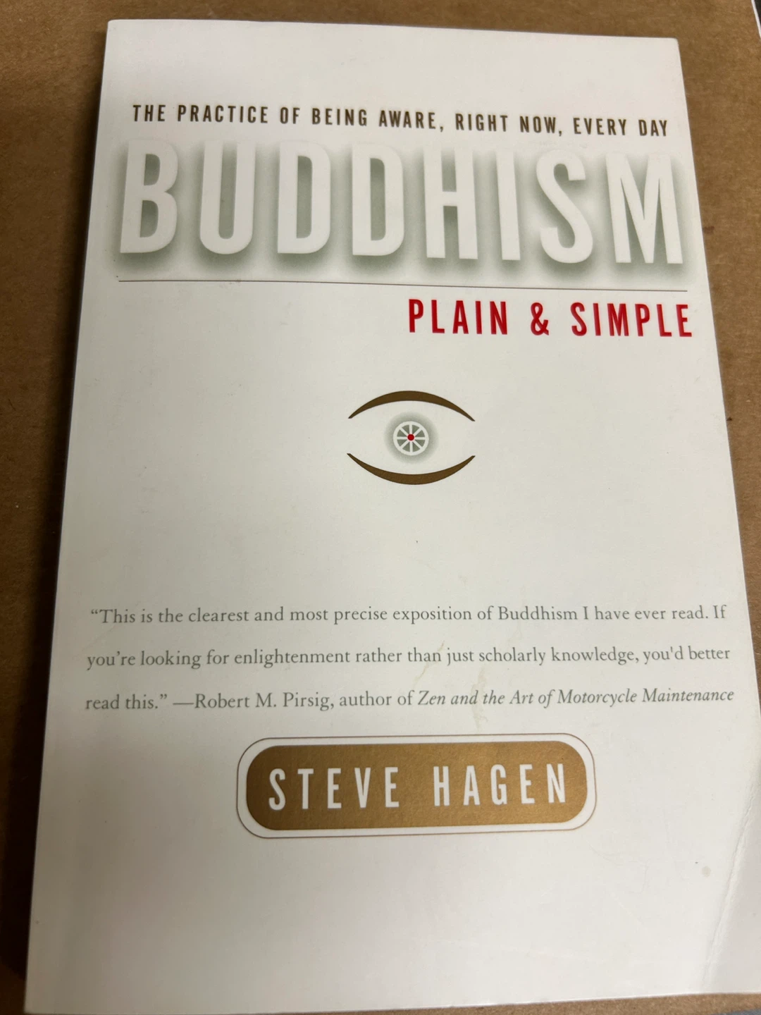 Buddhism Plain & Simple by Steve Hagen