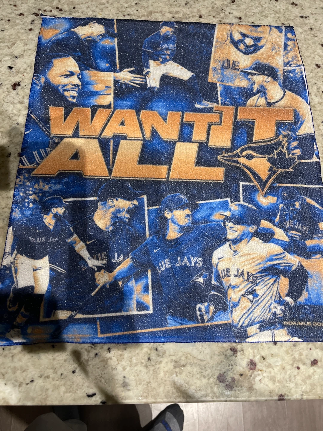 Toronto Blue Jays 'Want It All' Rally Towel