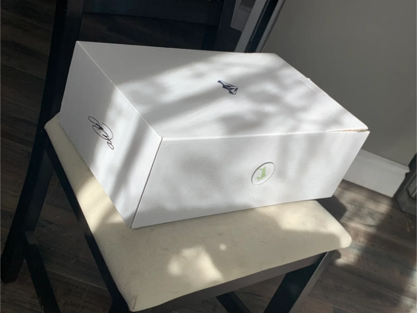 Nike LeBron XXI Soft Pearl Hyper Turq Size 10.5