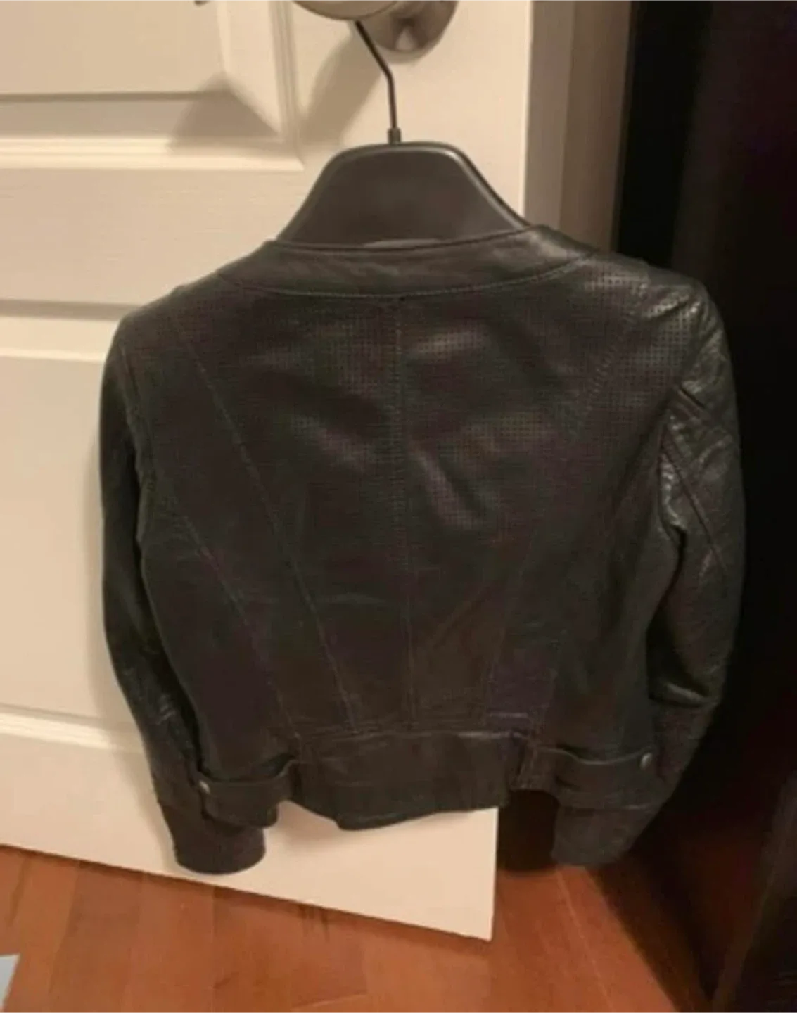 Danier (Blink) Leather Jacket image indicator(2)