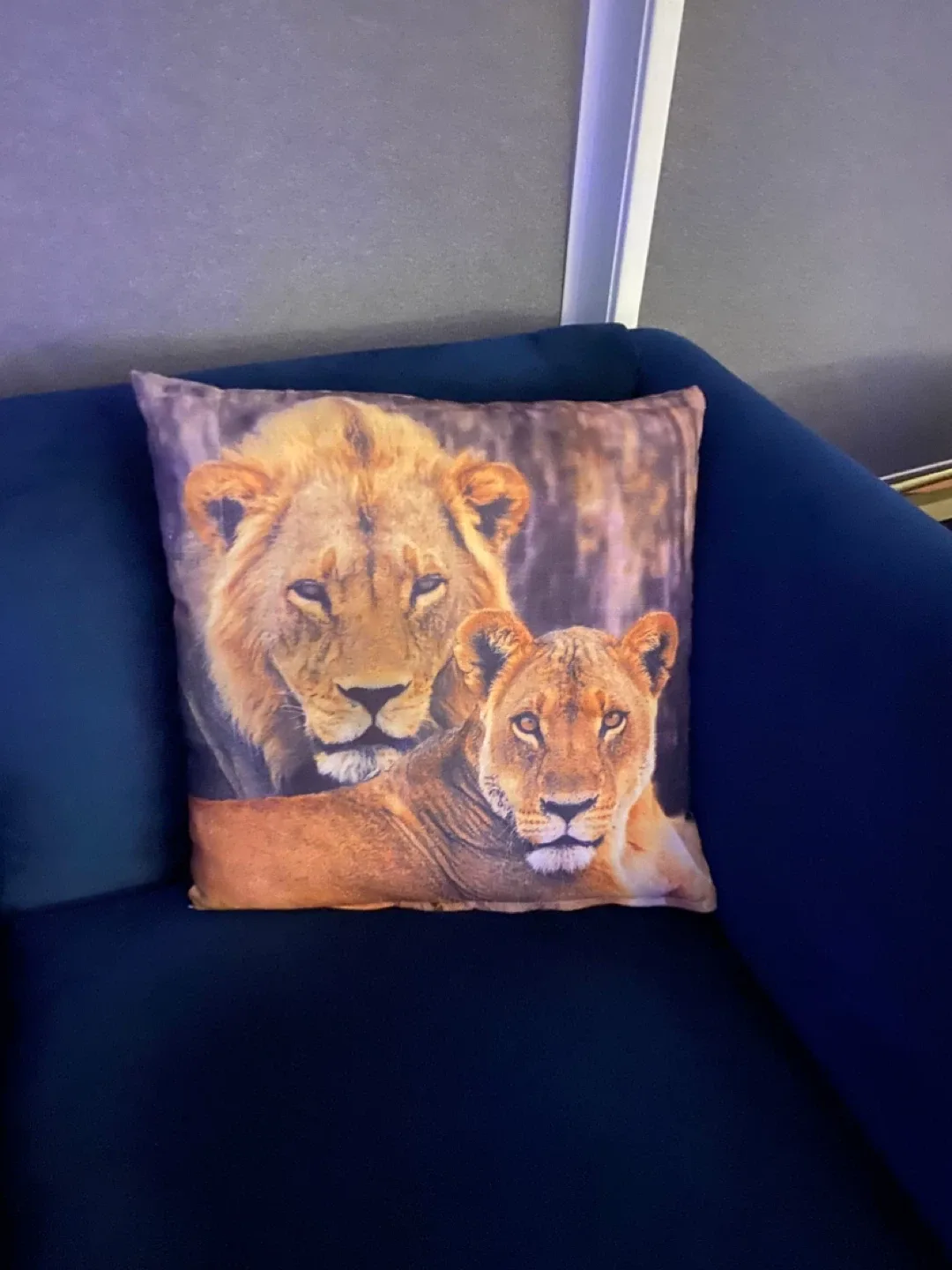 EUC 15” Lion Print Throw Pillow image indicator(4)