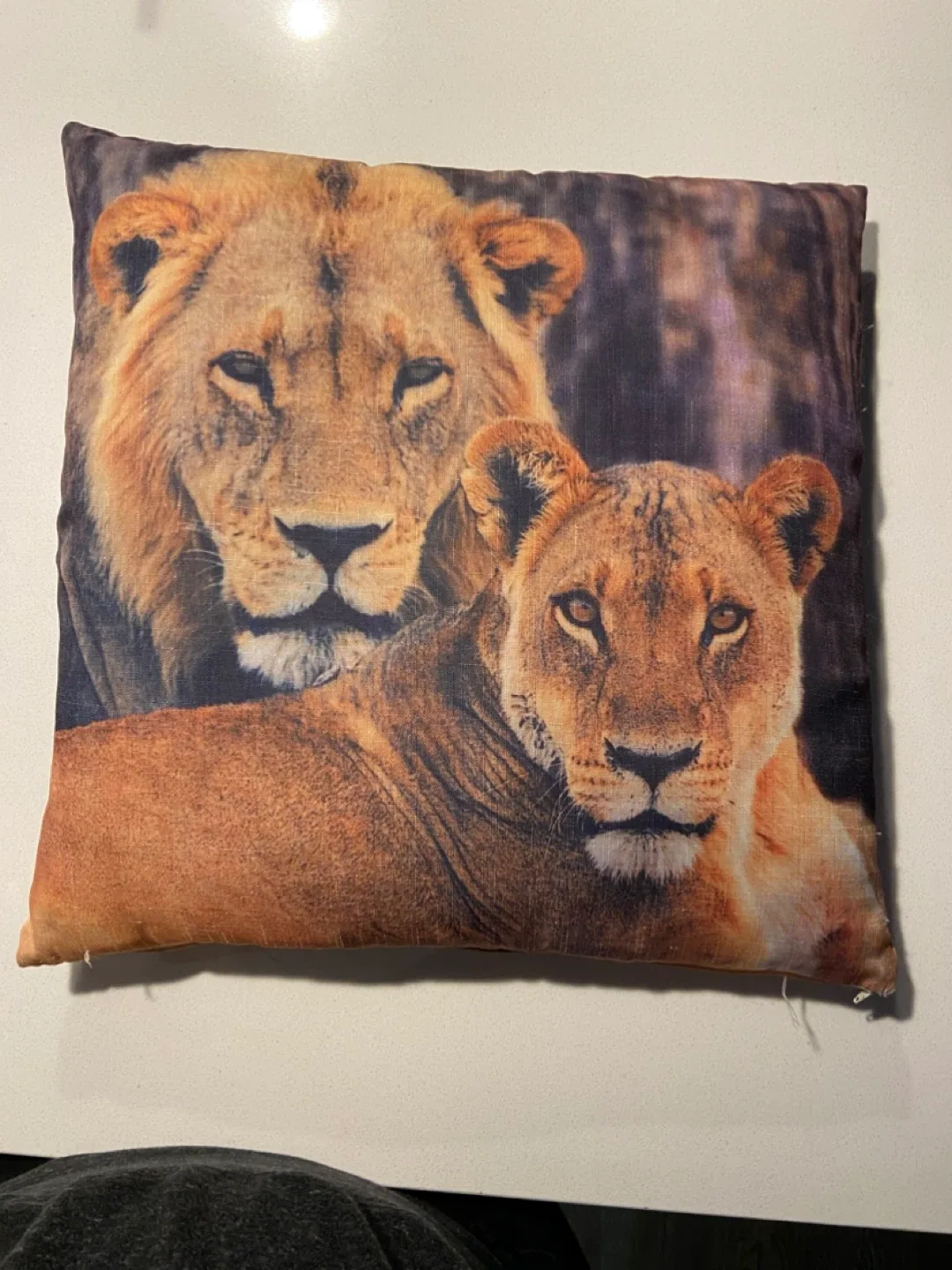 EUC 15” Lion Print Throw Pillow image indicator(2)