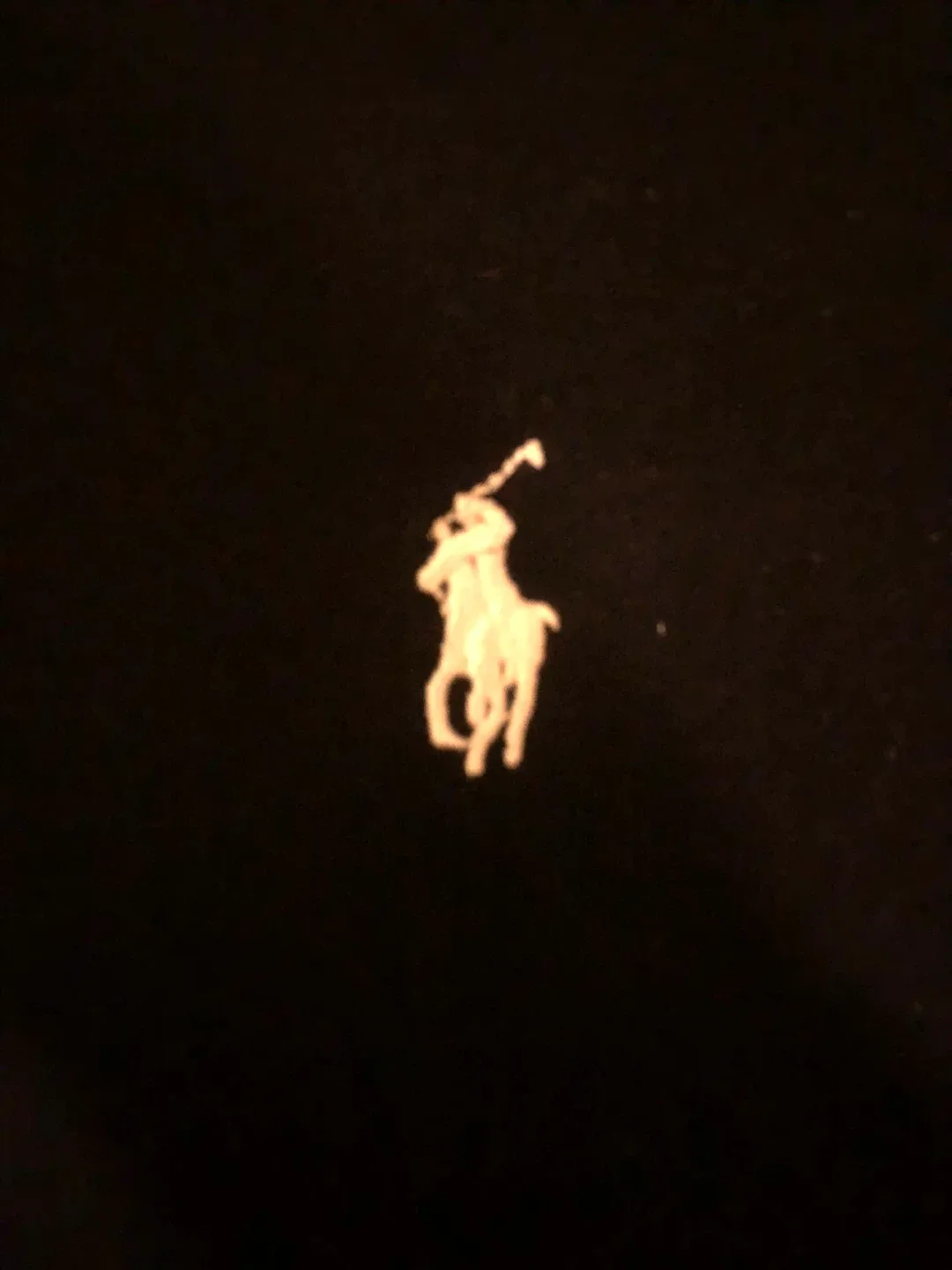 Polo Ralph Lauren Black Custom Fit Hoodie - Small image indicator(3)