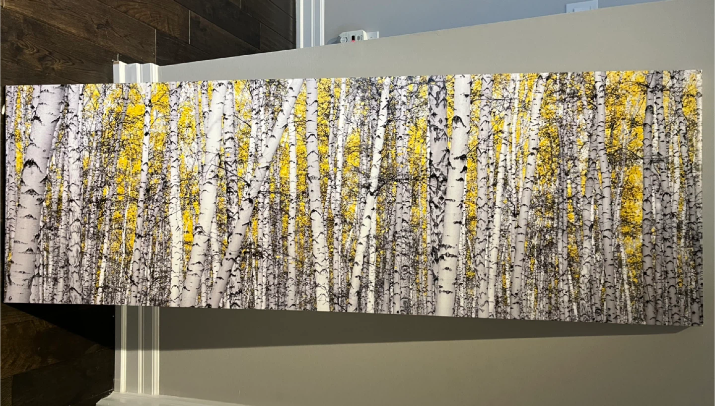 Large 60” birch tree canvas art and 24” square - photo 2