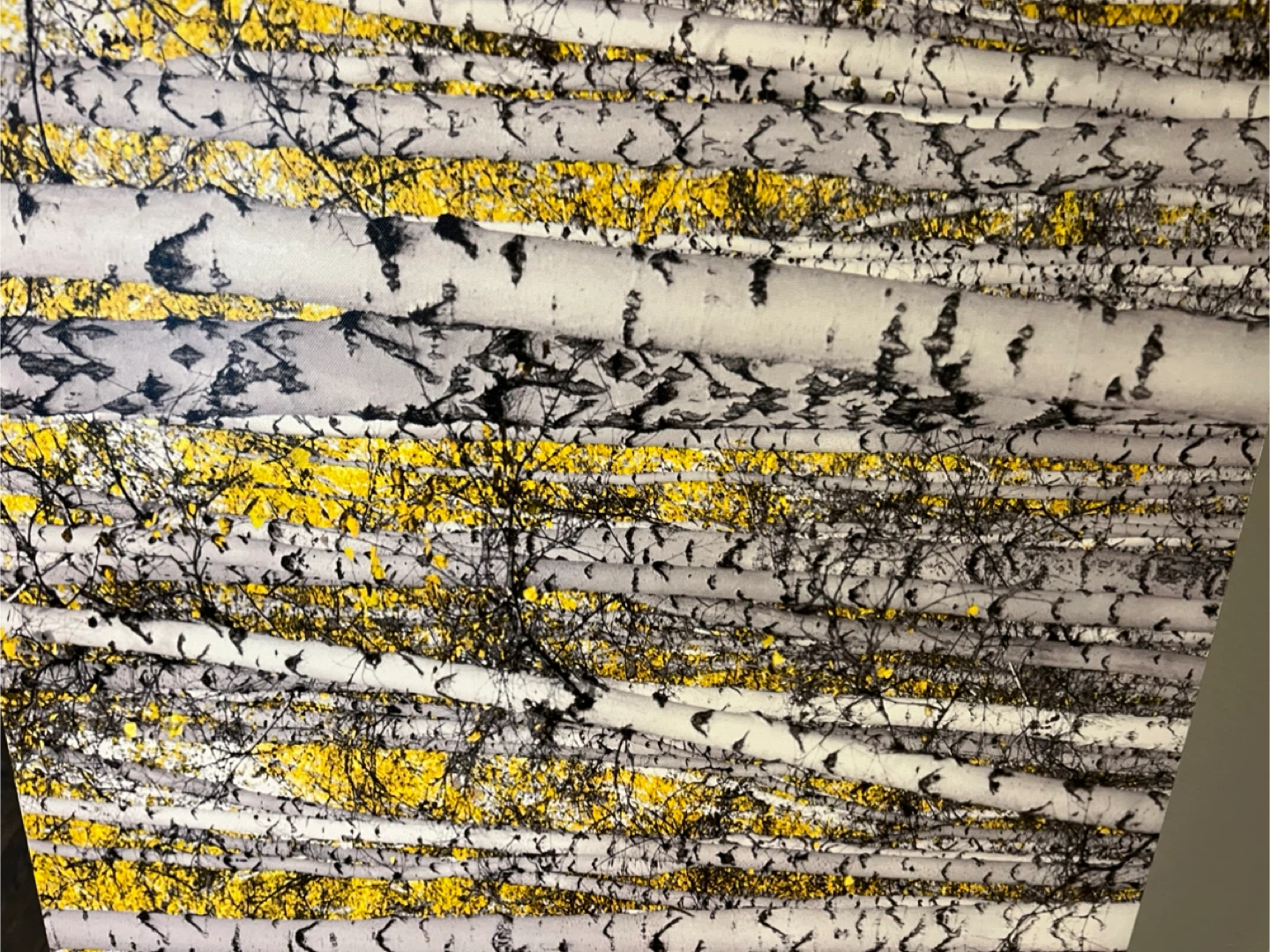 Large 60” birch tree canvas art and 24” square - photo 4