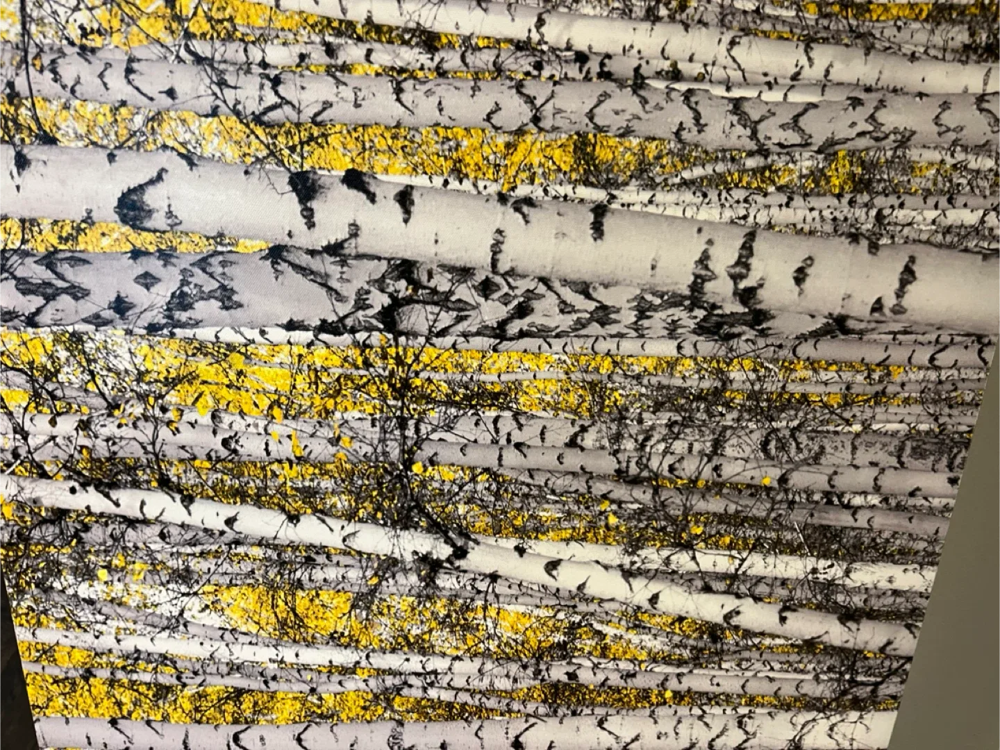 Large 60” birch tree canvas art and 24” square image indicator(4)