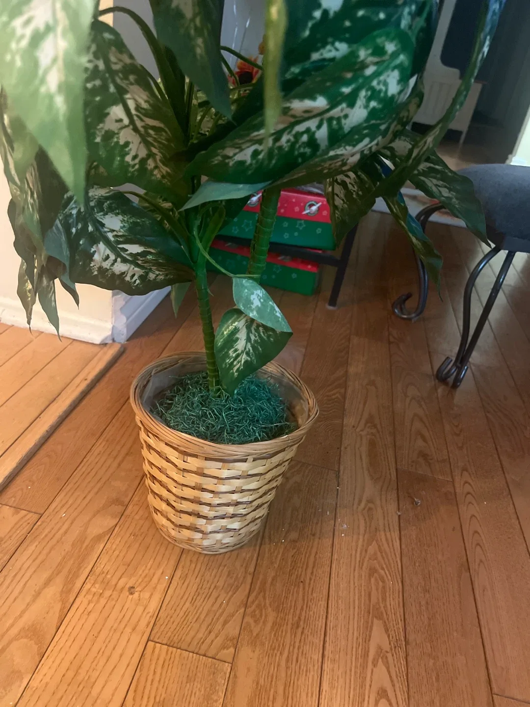 Artificial Dieffenbachia Plant in Wicker Basket image indicator(3)