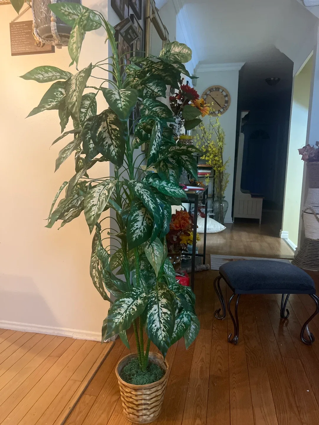 Artificial Dieffenbachia Plant in Wicker Basket image indicator(4)