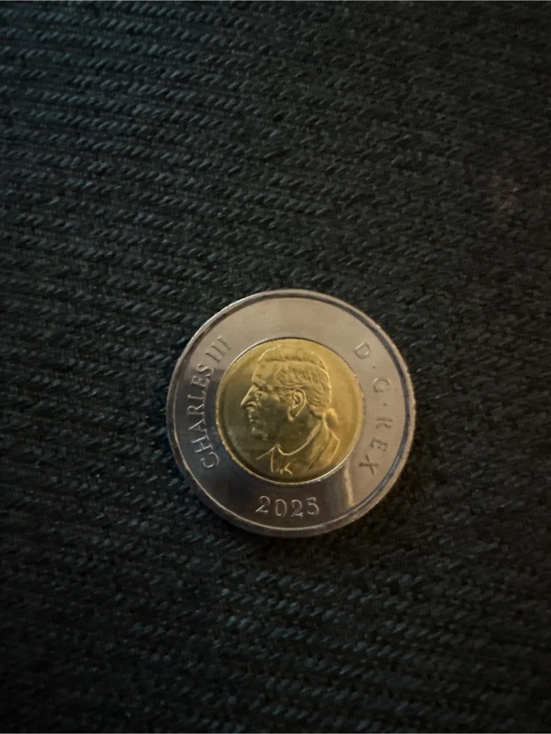 Canadian 2 Dollar Toonie Coin daphne odjig image indicator(2)