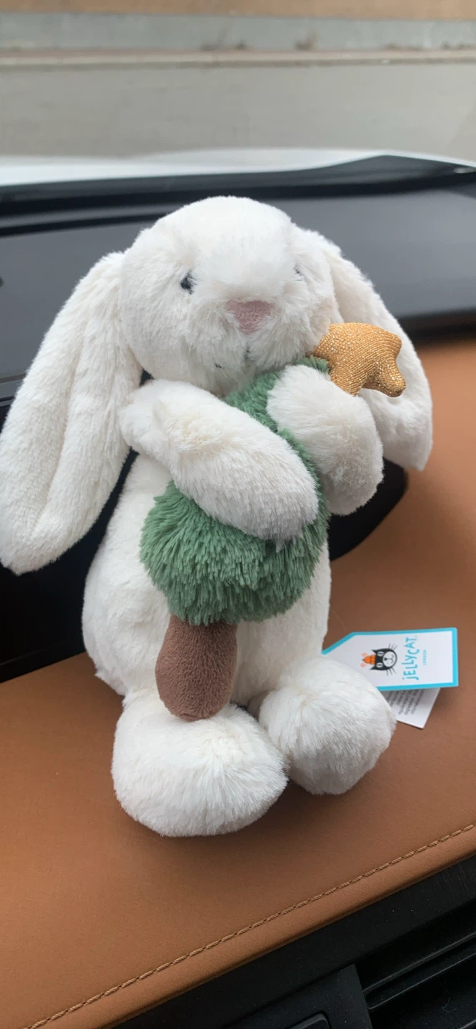 Jellycat Bramble Bunny Plush (Rare)