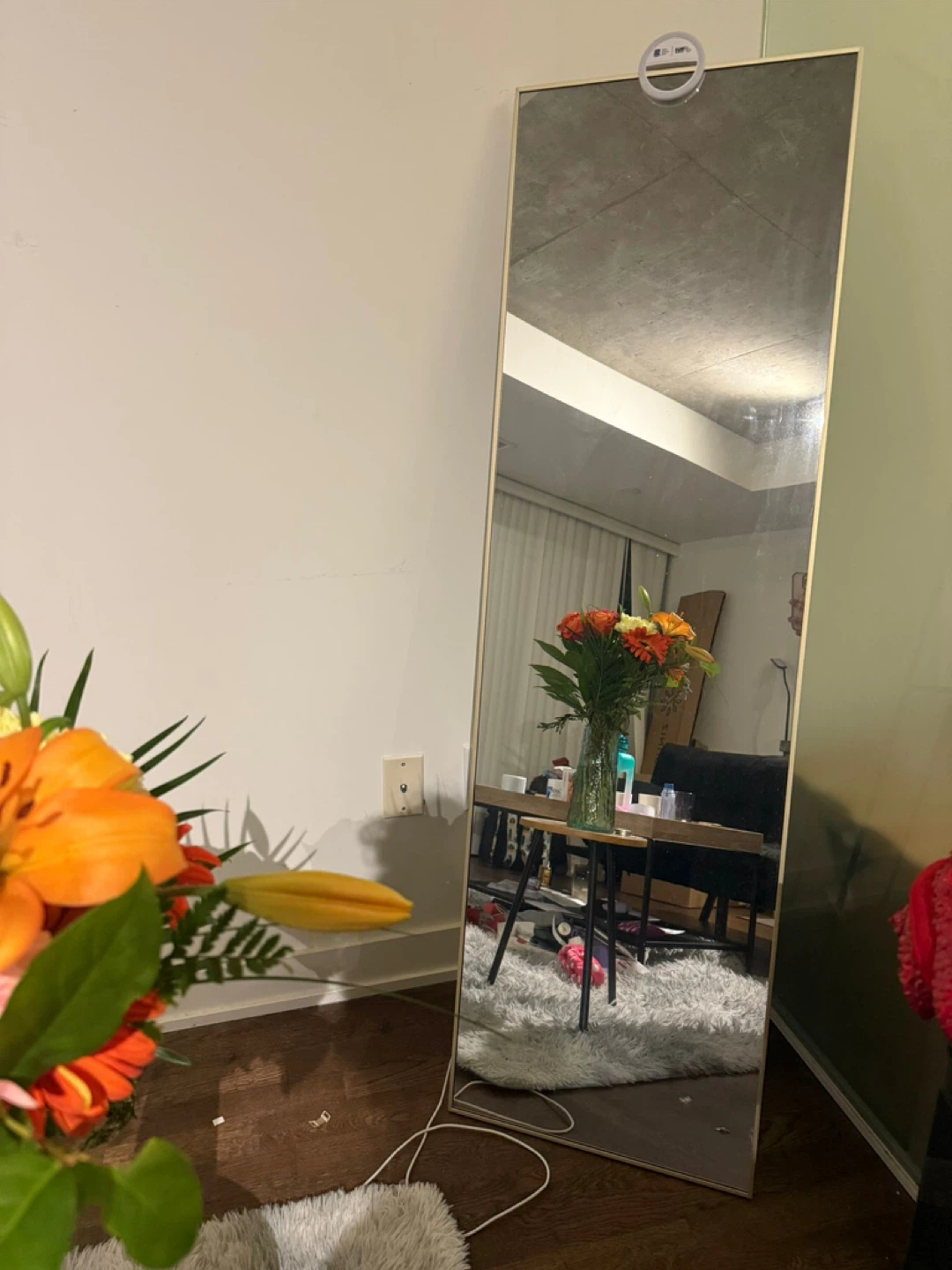 Beautypeak Full Length Mirror GOLD