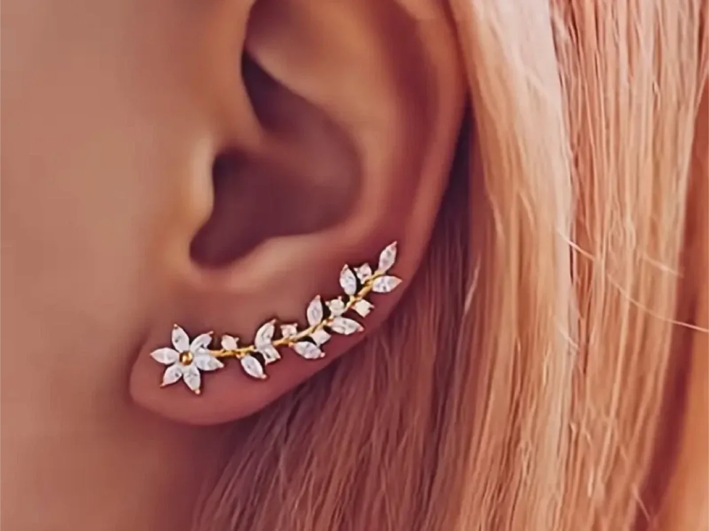 Ear Climber Earrings - Variety