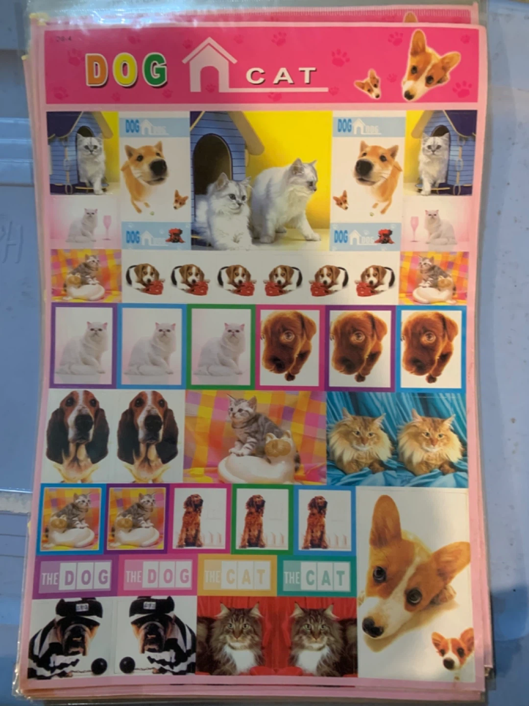 Case lot of 65 large sticker sheets