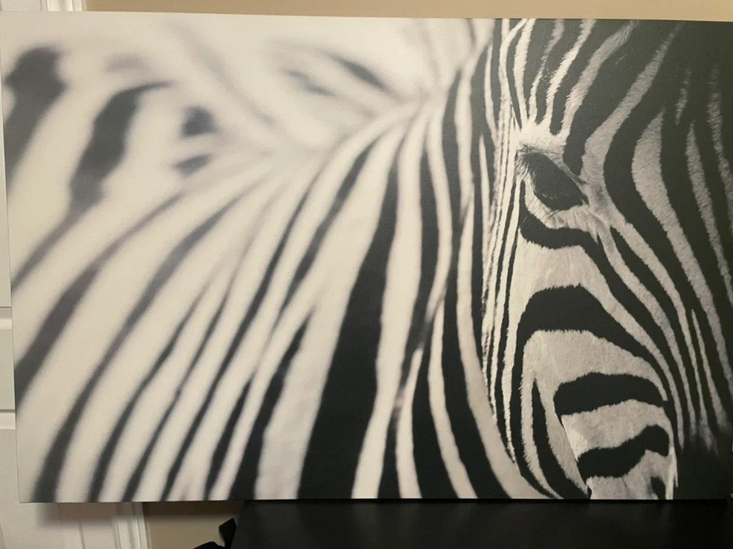 Zebra wall art