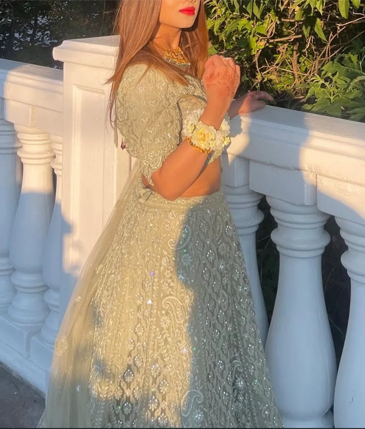 Lehenga/South Asian Traditional Wear image indicator(2)