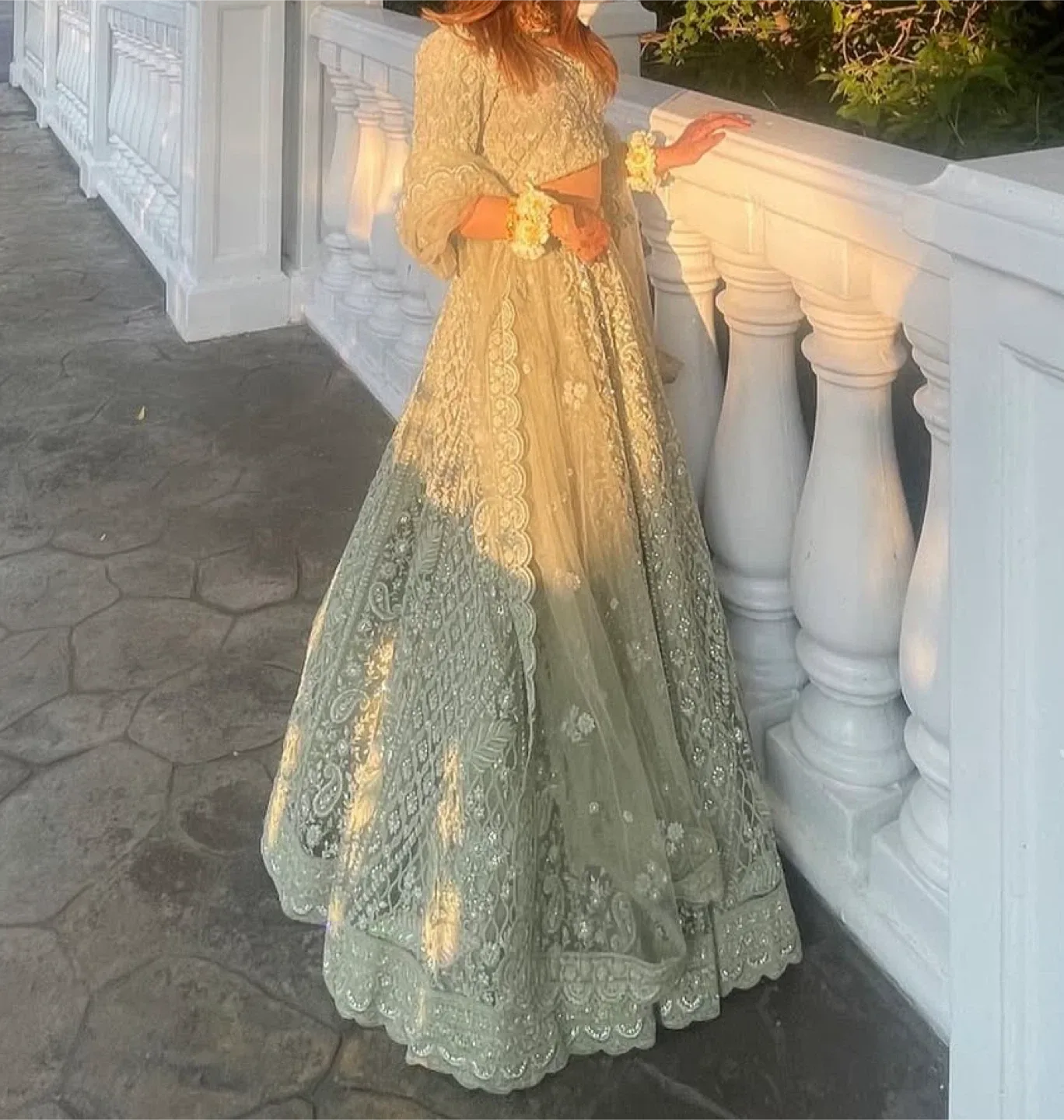 Lehenga/South Asian Traditional Wear image indicator(3)