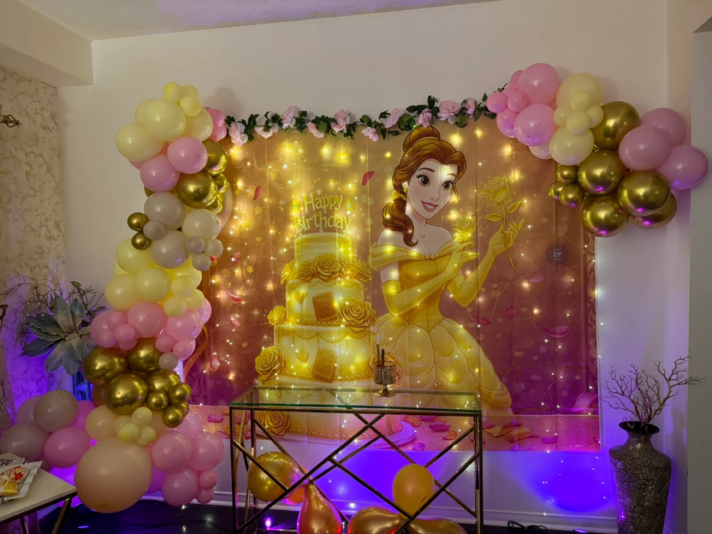Used ballon garland