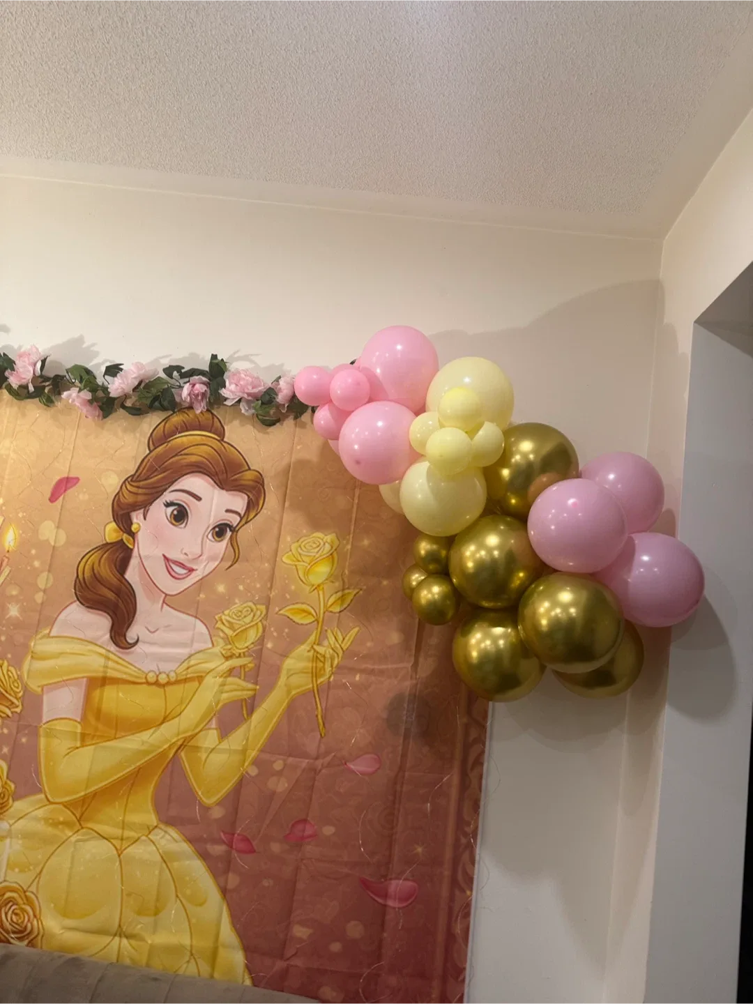 Used ballon garland image indicator(5)