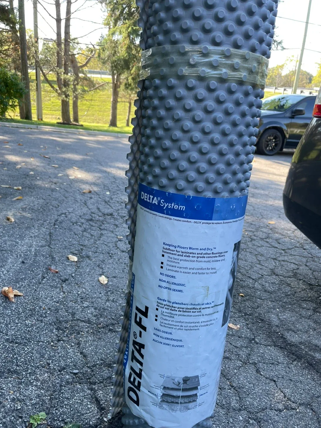 DELTA-FL Basement Membrane image indicator(2)