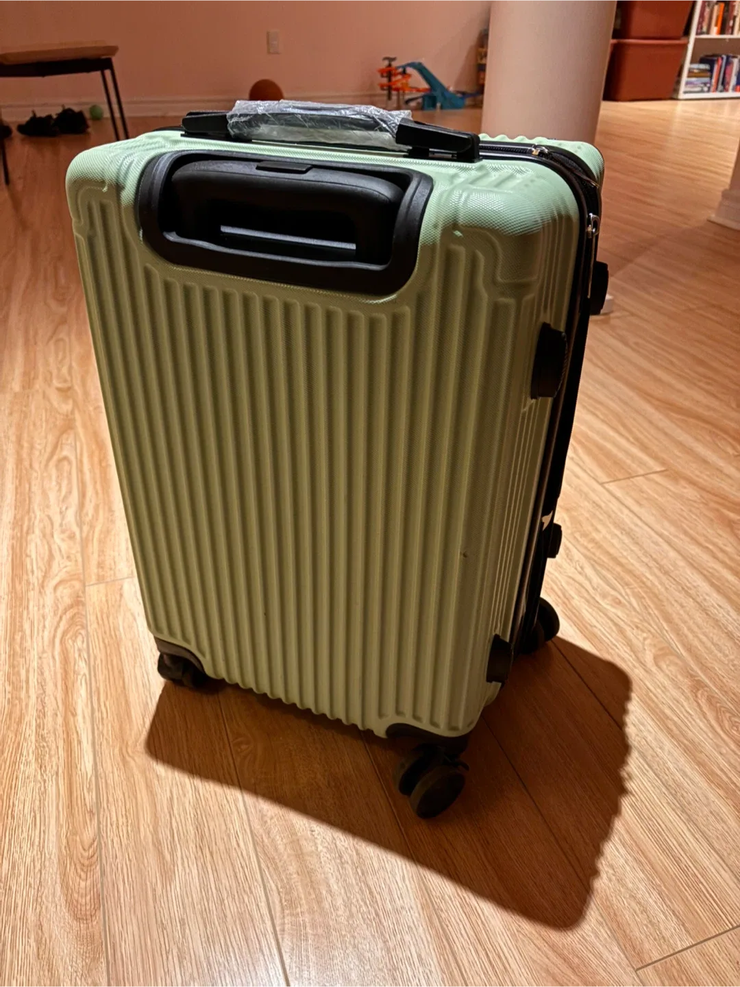 Light Green Carry-On Suitcase