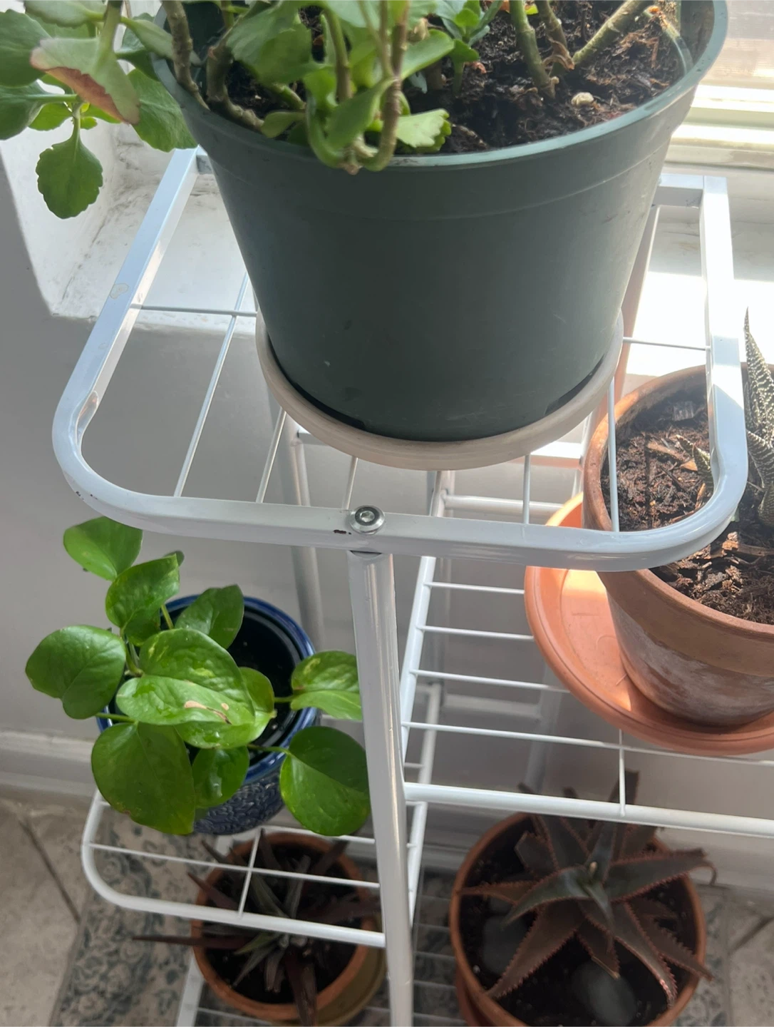 White Metal Plant Stand - Indoor/Outdoor - photo 3