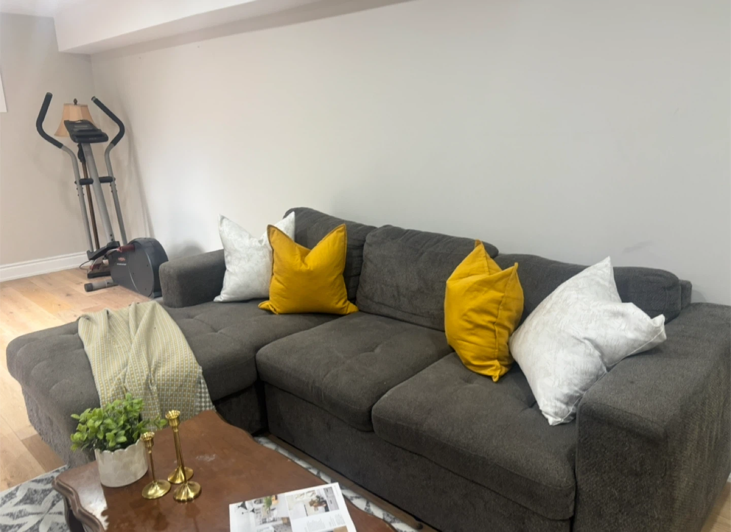 Free Sofa - photo 2