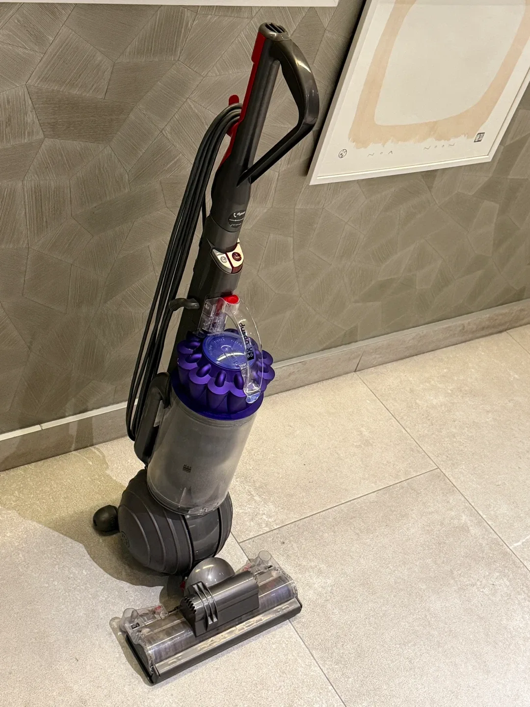 Dyson DC 66 Vacuum Cleaner‼️Delivery Free‼️ image indicator(8)