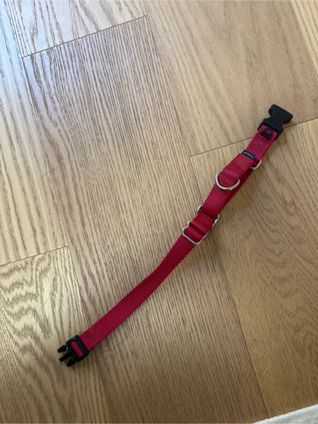 Free Pet Collar thumbnail