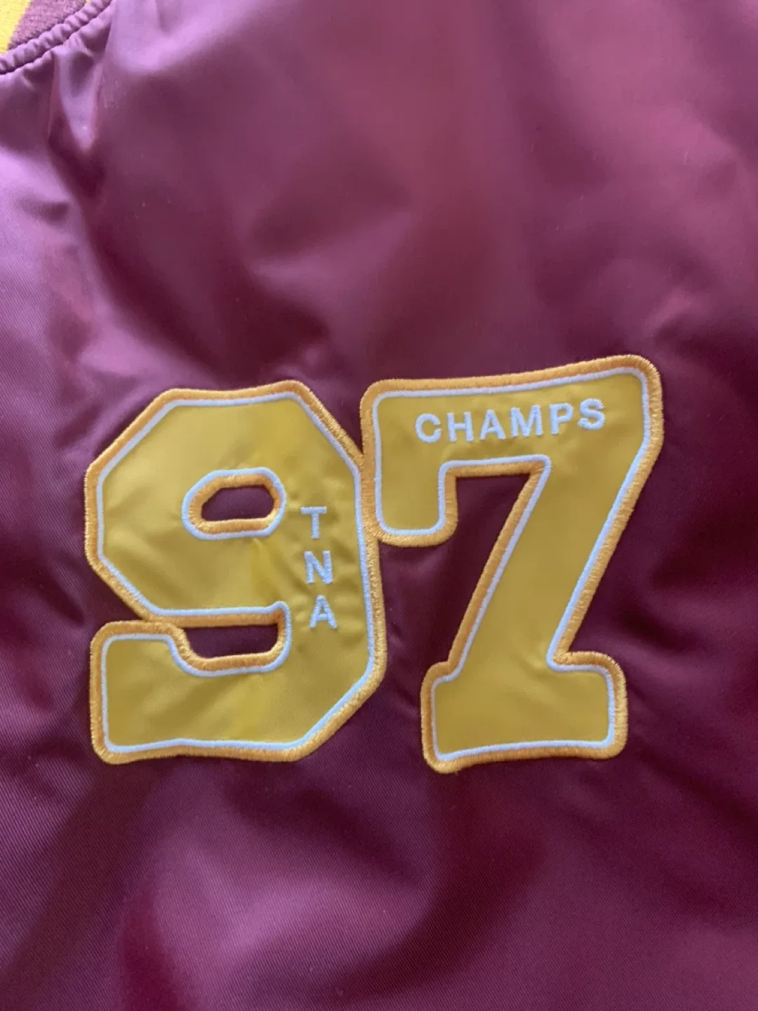 Tna Varsity Bomber Jacket - Size L image indicator(5)