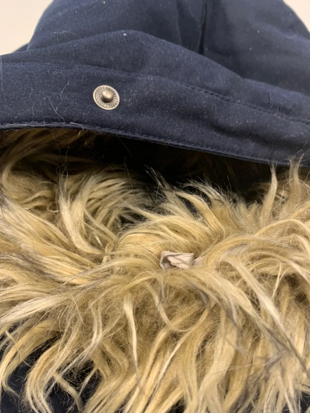 Hollister California Jacket image indicator(4)