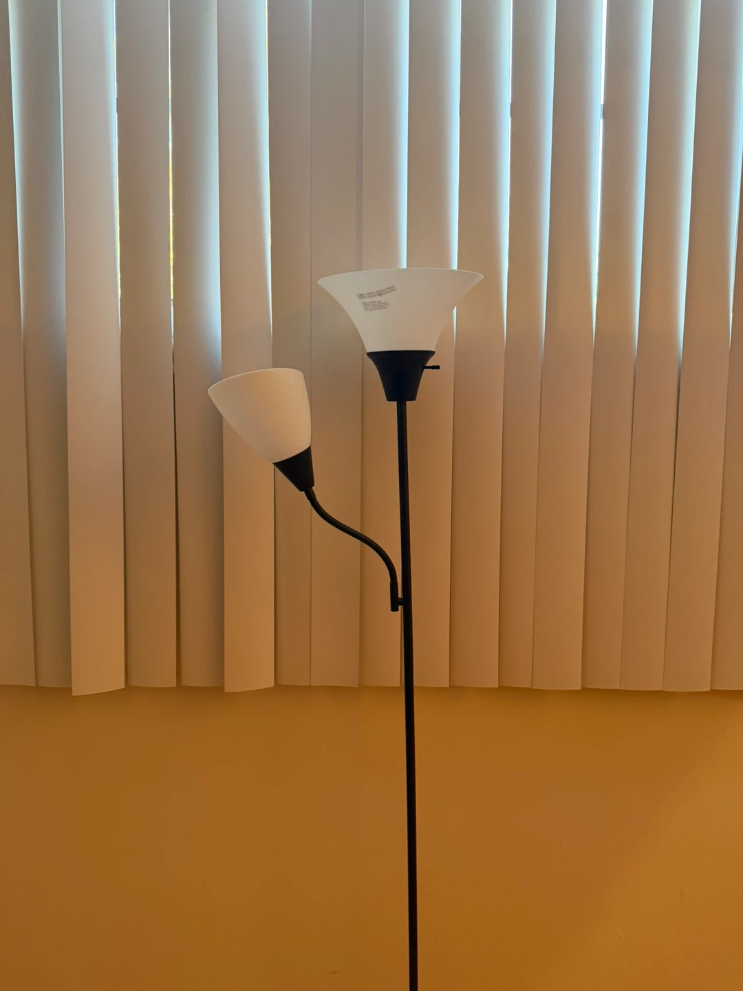 Floor Lamp with Two Lights (Bulbs Not Included)