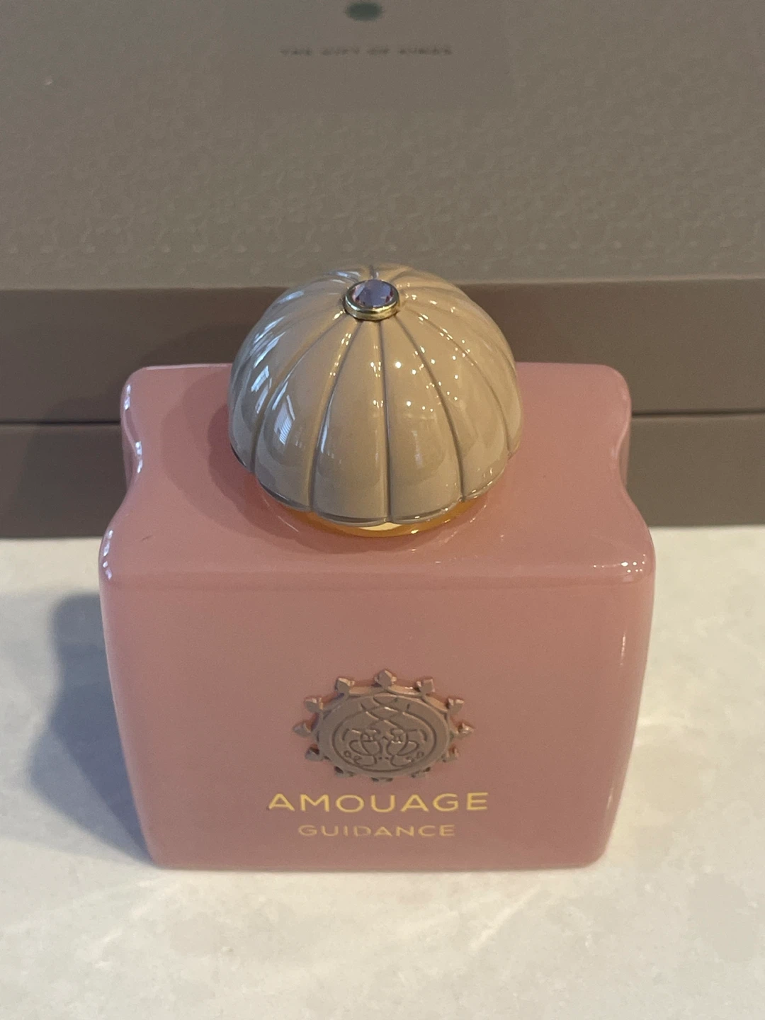 Amouage Guidance Perfume 100ml Eau de Parfum EDP