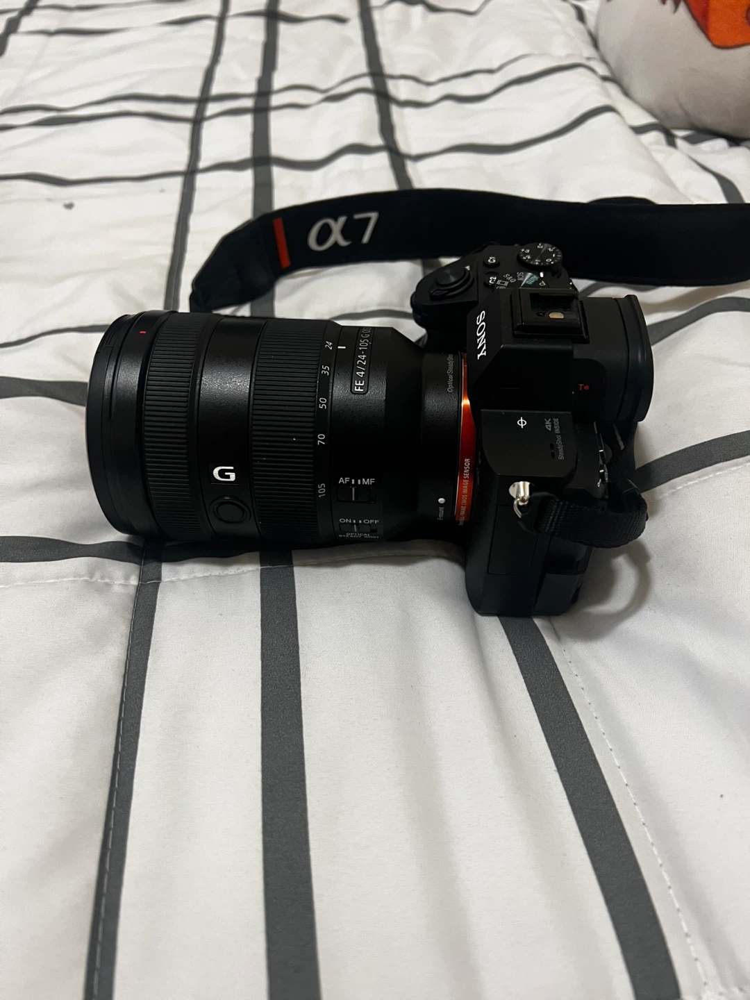 Sony Alpha a7 III with FE 24-105mm F4 G OSS Lens - photo 5