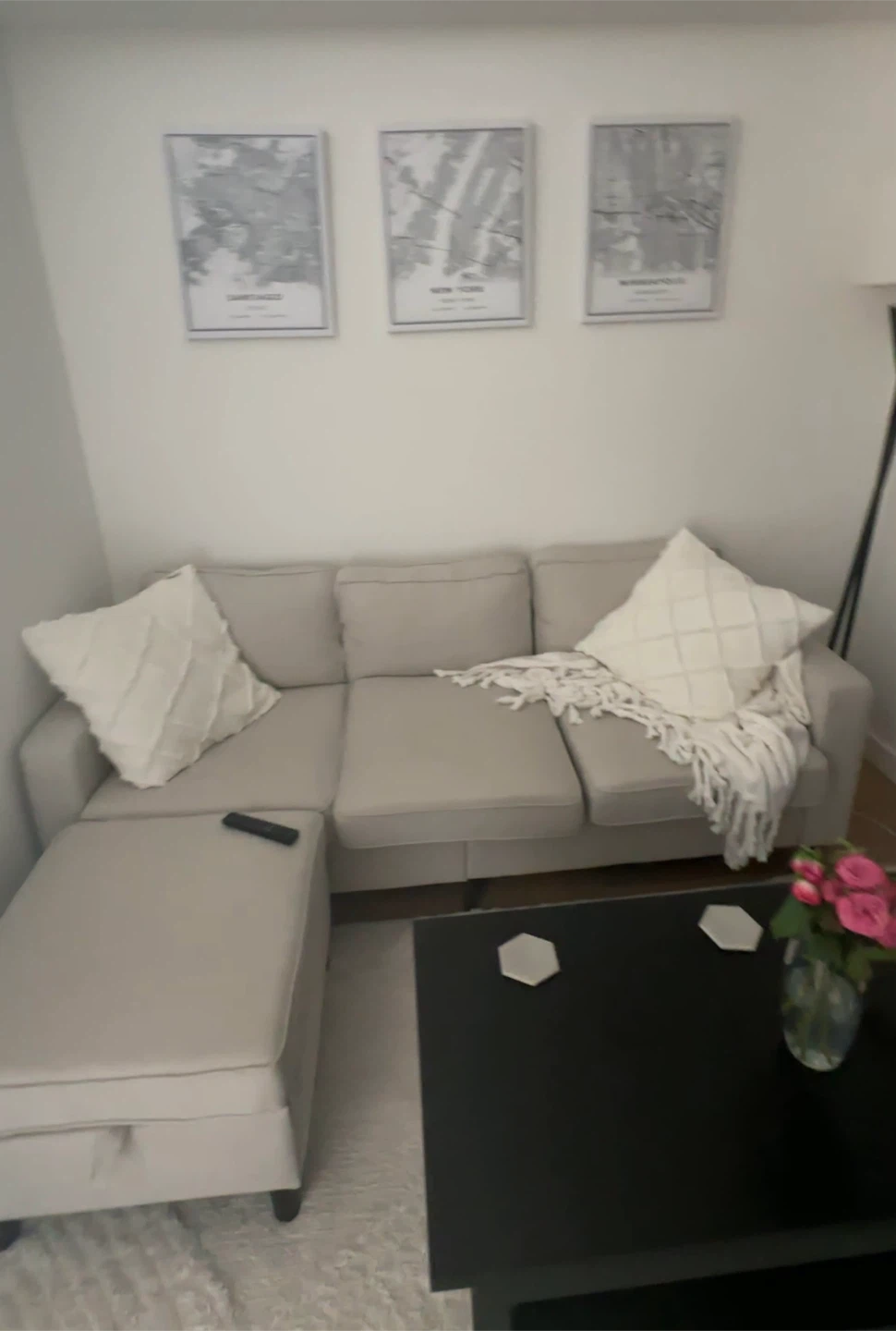 Convertible L-Shaped Couch Sofa
