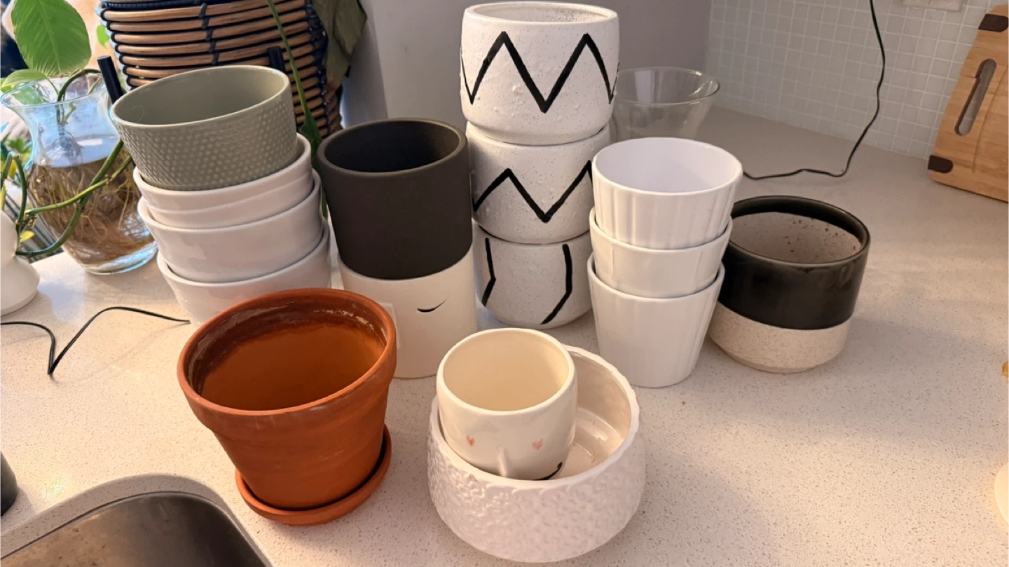 Assorted Decorative Plant Pots