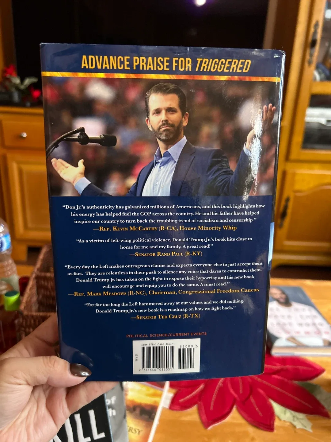 Triggered by Donald Trump Jr. image indicator(2)